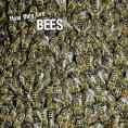 eBook: How they live... Bees