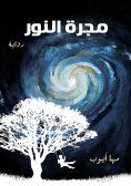 ebook: The garage of light