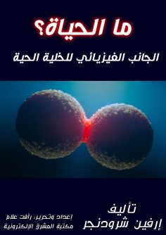 eBook: The Son of Man