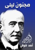 ebook: Layla's crazy