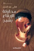 eBook: Trying to trap a ghost