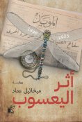eBook: Dragonfly effect