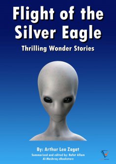 eBook: Flight of the Silver Eagle