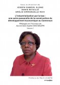eBook: L'industrialisation par le bas : une autre passerelle de la construction du développement économique