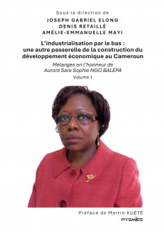 eBook: L'industrialisation par le bas : une autre passerelle de la construction du développement économique
