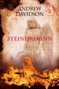 ebook: Steindrekinn