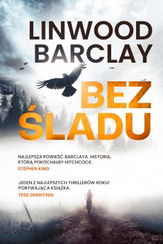 eBook: Bez śladu