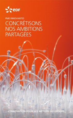 ebook: EDF PME innovantes - L'innovation pour les métiers du groupe