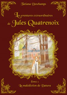 ebook: Les aventures extraordinaires de Jules Quatrenoix - Livre 1