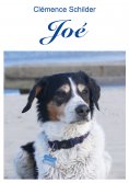 eBook: Joé