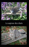 ebook: La sagesse des chats