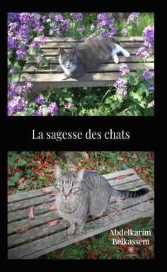 ebook: La sagesse des chats