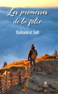 eBook: Les promesses de la folie