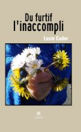 eBook: Du furtif l'inaccompli