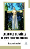 eBook: Exercices de stèles