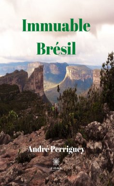 eBook: Immuable Brésil