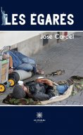 ebook: Les égarés