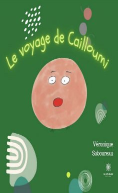 eBook: Le voyage de Cailloumi