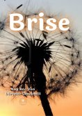 eBook: Brise