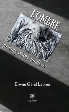 eBook: L’ombre, prisme d’une lumière