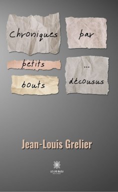 eBook: Chroniques par petits bouts…