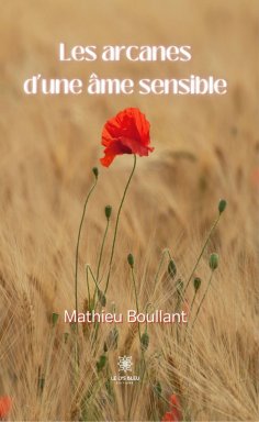 eBook: Les arcanes d’une âme sensible