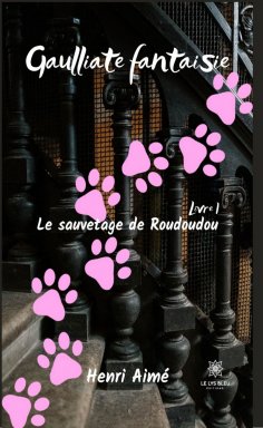 eBook: Le sauvetage de Roudoudou