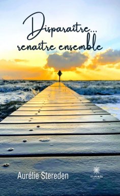 eBook: Disparaître... renaître ensemble