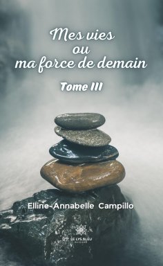 eBook: Mes vies ou ma force de demain - Tome 3