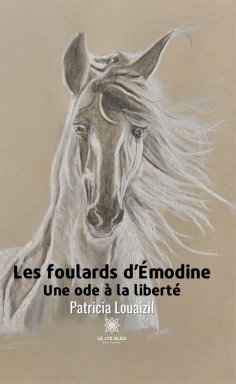 eBook: Les foulards d’Émodine