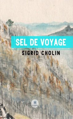 eBook: Sel de voyage