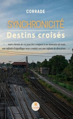 ebook: Synchronicité