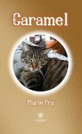 eBook: Caramel