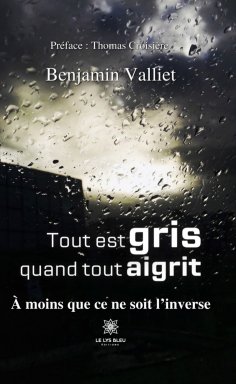 eBook: Tout est gris quand tout aigrit
