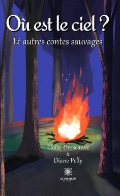 eBook: Où est le ciel ?