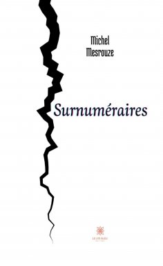 eBook: Surnuméraires