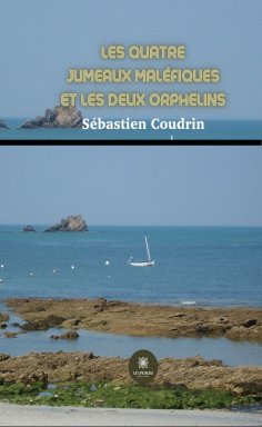 eBook: Les quatre jumeaux maléfiques et les deux orphelins