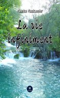 eBook: La vie infiniment