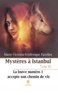 eBook: Mystères à Istanbul - Tome 3