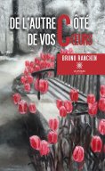 ebook: De l’autre côté de vos cœurs
