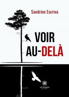 eBook: Voir au-delà
