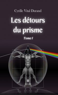 ebook: Les détours du prisme - Tome 1