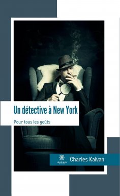 eBook: Un détective à New York