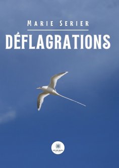 eBook: Déflagrations