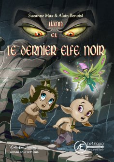 eBook: Liann et le dernier elfe noir