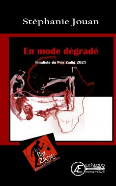 ebook: En mode dégradé