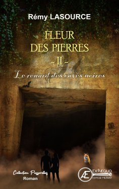 eBook: Fleur des pierres - Tome 2