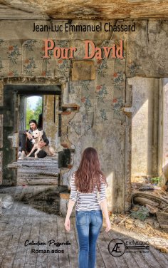 eBook: Pour David