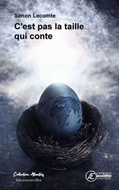 eBook: C'est pas la taille qui conte