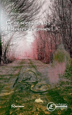 eBook: Ce ne sont que des histoires de gosses !